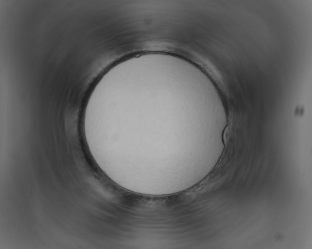 X0000089440155200707131913