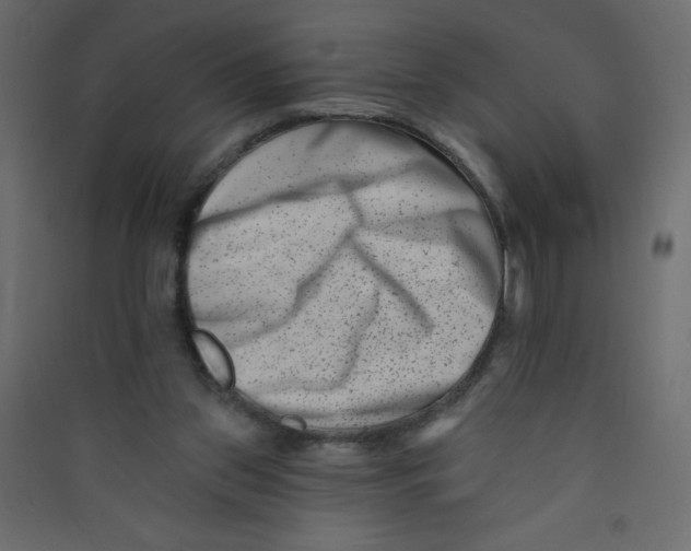 X0000089440157200707131913