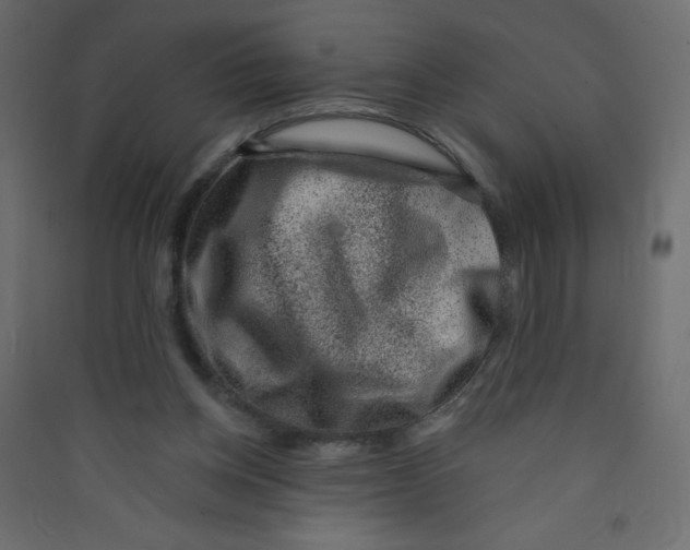 X0000089440158200707131913