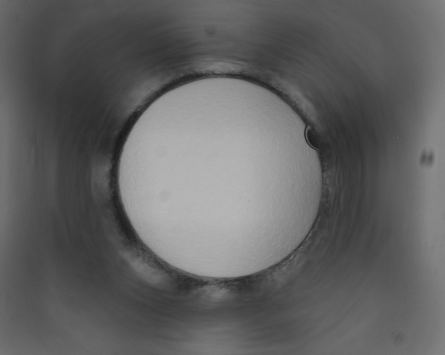 X0000089440159200707131913