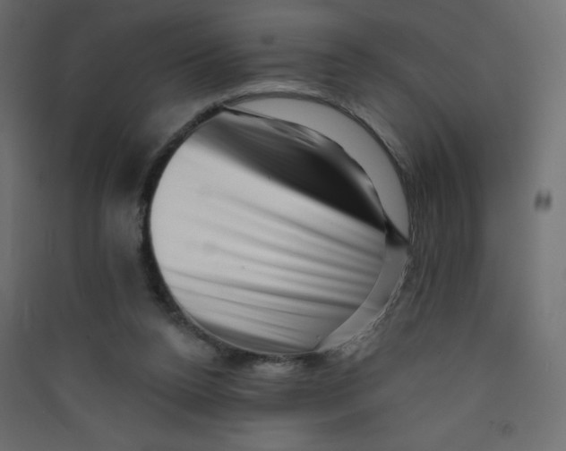 X0000089440160200707131913