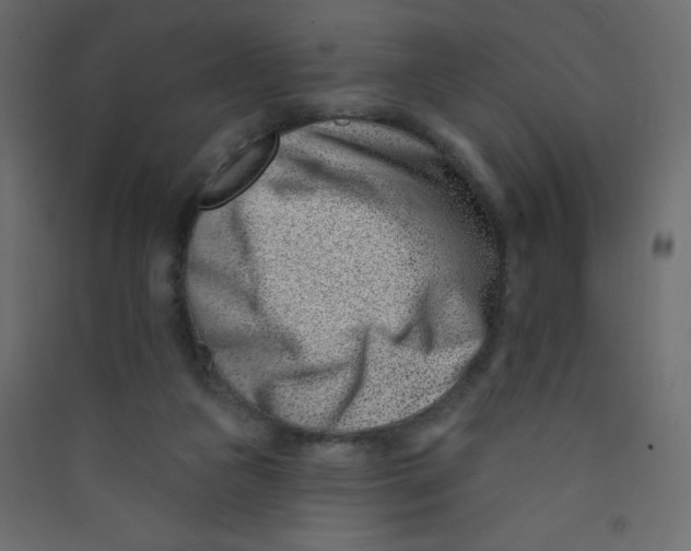 X0000089440161200707131913