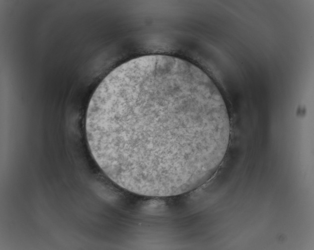 X0000089440162200707131913