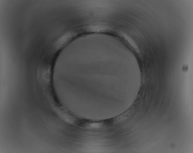 X0000089440163200707131913