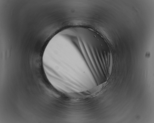 X0000089440164200707131913