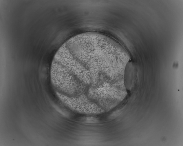 X0000089440165200707131913