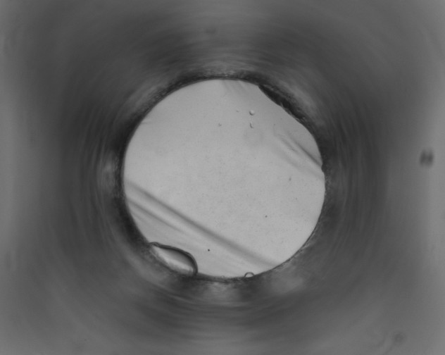 X0000089440166200707131913