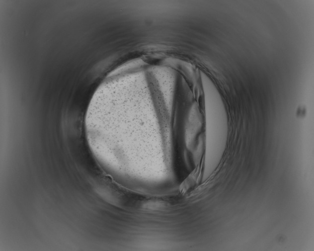 X0000089440168200707131913