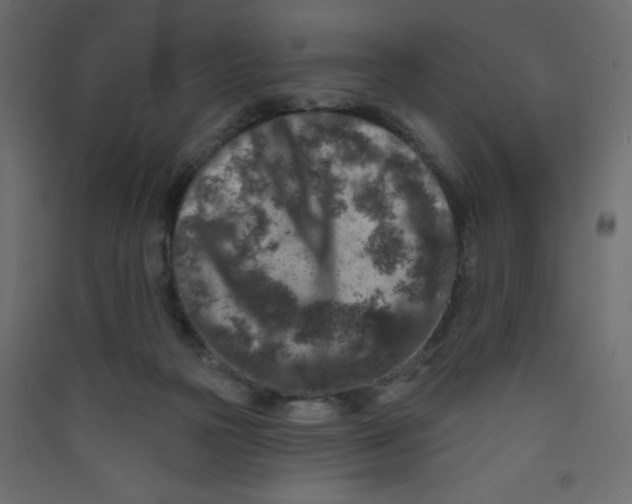 X0000089440169200707131913
