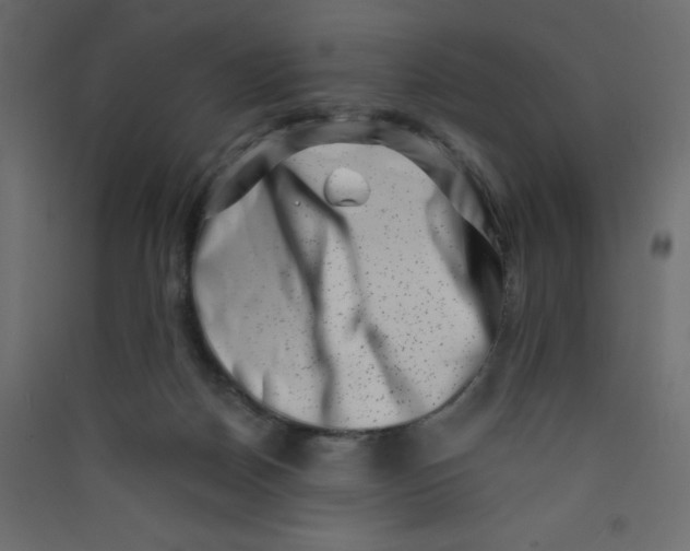 X0000089440170200707131913