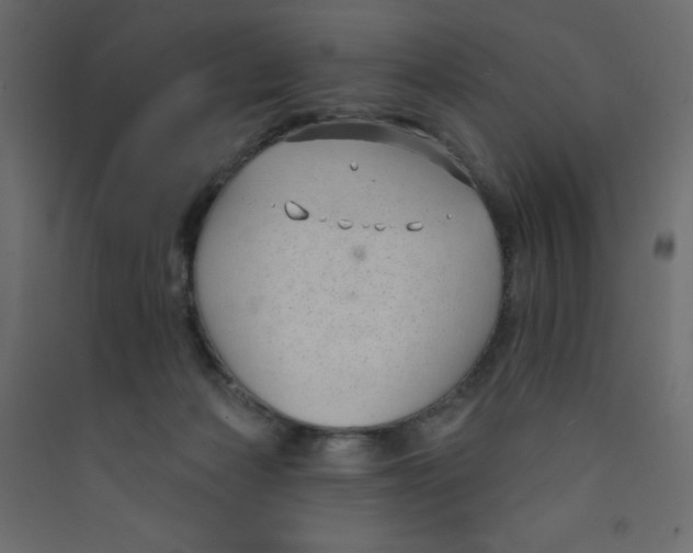 X0000089440173200707131913