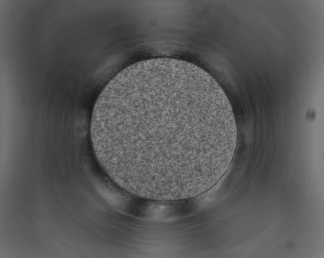 X0000089440174200707131913