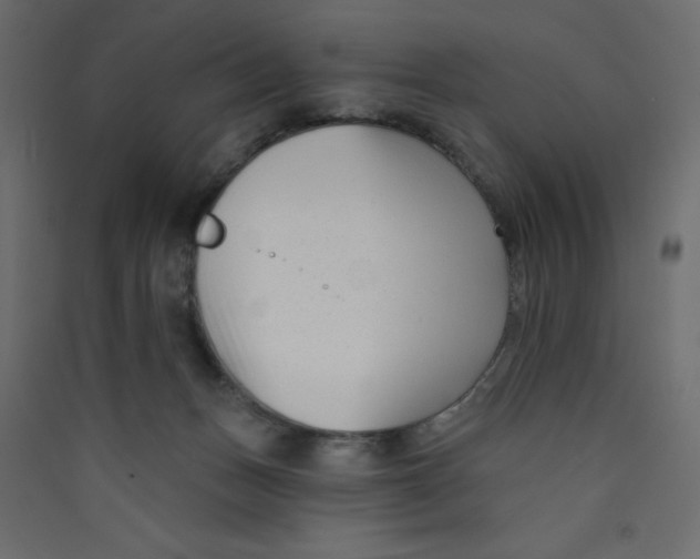 X0000089440175200707131913