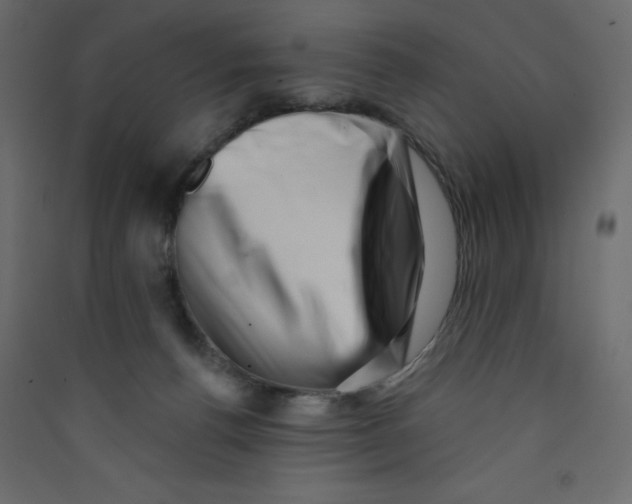 X0000089440176200707131913