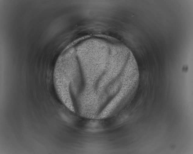 X0000089440177200707131913