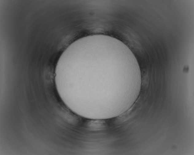 X0000089440179200707131913