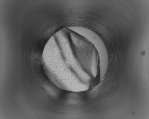 X0000089440180200707131913