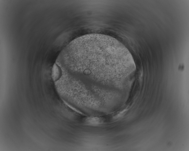 X0000089440181200707131913