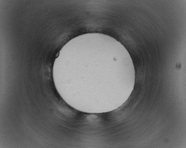 X0000089440183200707131913