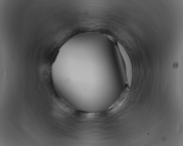 X0000089440184200707131913