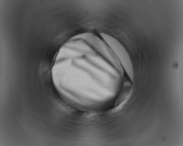X0000089440186200707131913