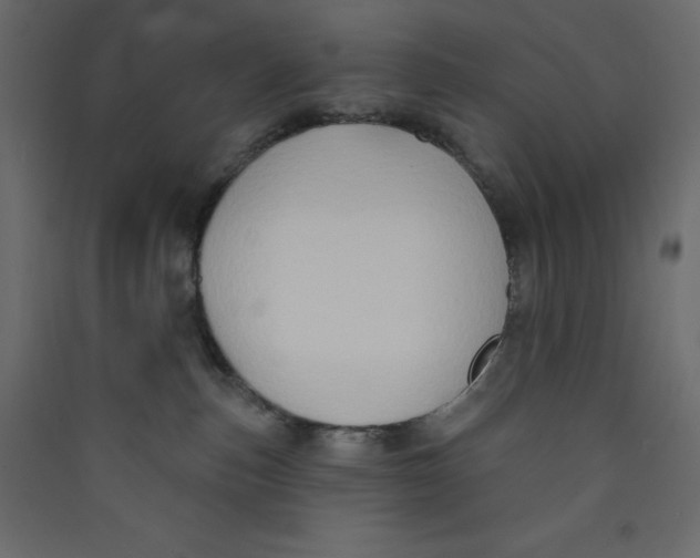 X0000089440187200707131913
