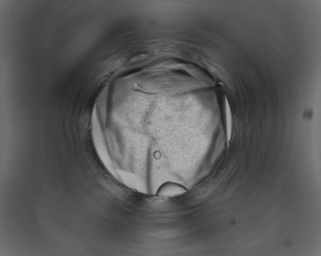 X0000089440189200707131913