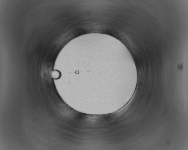 X0000089440190200707131914