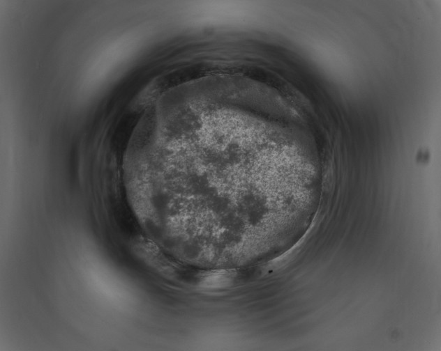 X0000089440191200707131914