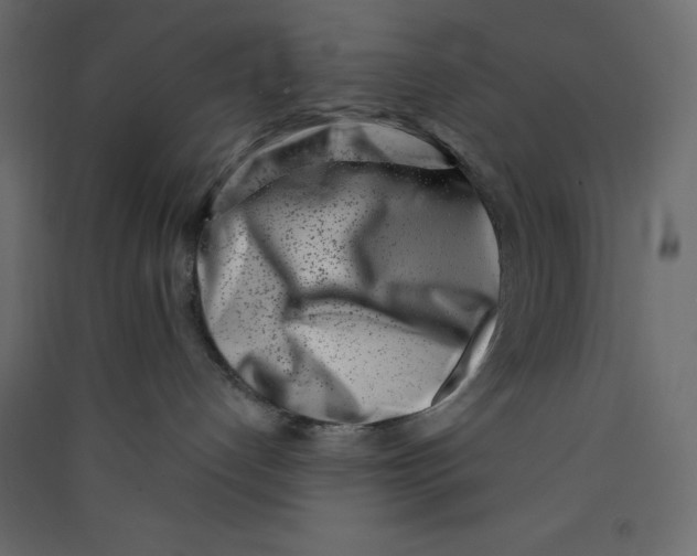 X0000089440192200707131914