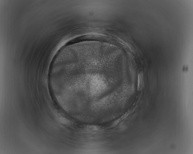 X0000089440195200707131913