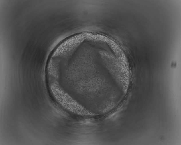 X0000089440196200707131913