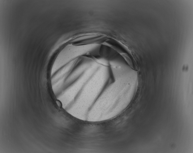 X0000089440198200707131913