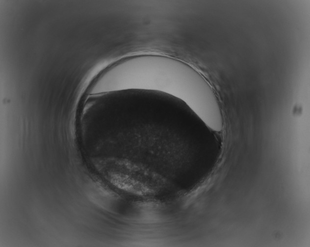 X0000089440200200707131912