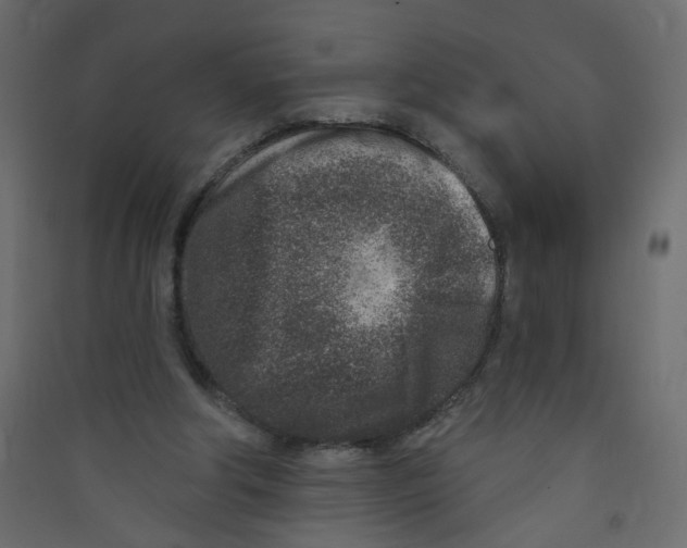 X0000089440202200707131912