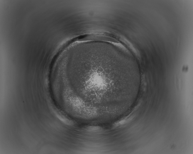 X0000089440203200707131912