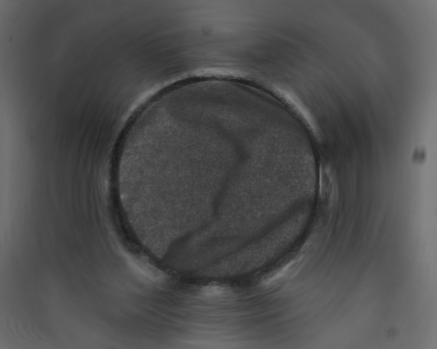 X0000089440204200707131912