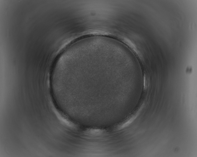 X0000089440205200707131912