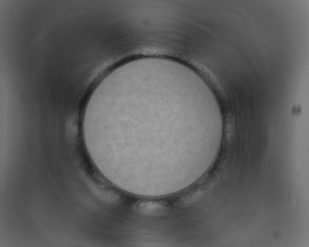 X0000089440208200707131912