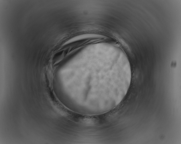 X0000089440209200707131912