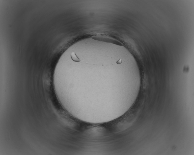 X0000089440210200707131912