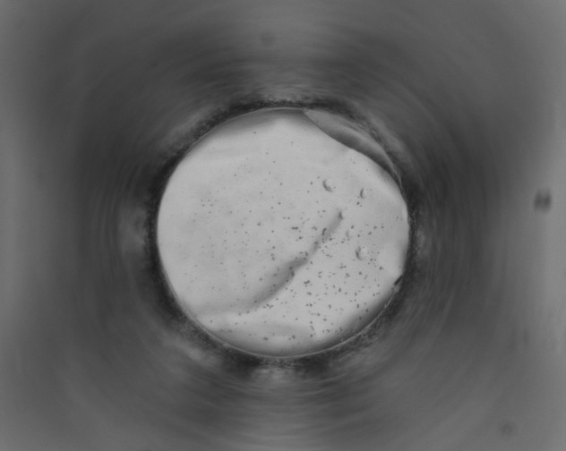 X0000089440211200707131912