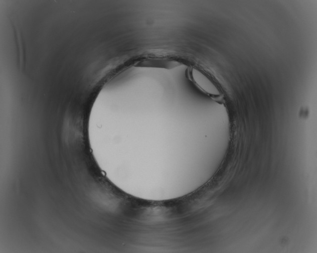 X0000089440212200707131912