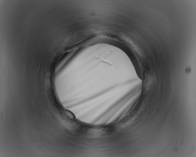 X0000089440213200707131912