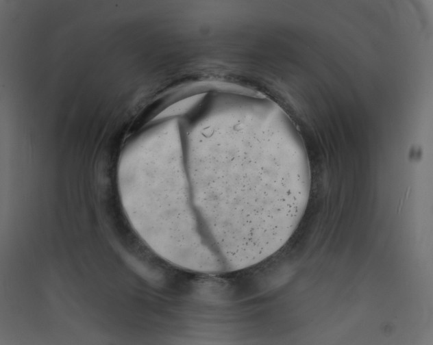 X0000089440215200707131912