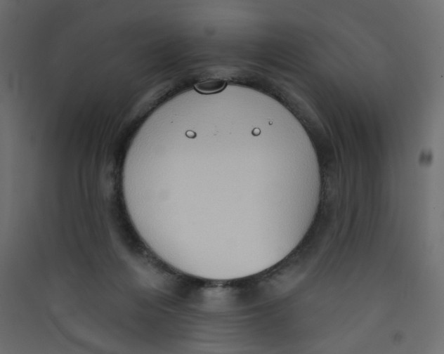 X0000089440216200707131912
