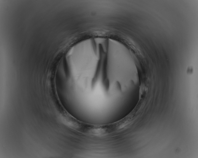 X0000089440217200707131912