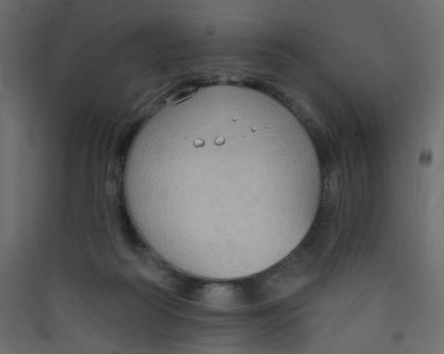 X0000089440218200707131912