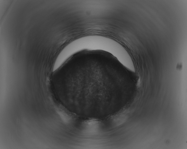 X0000089440219200707131912