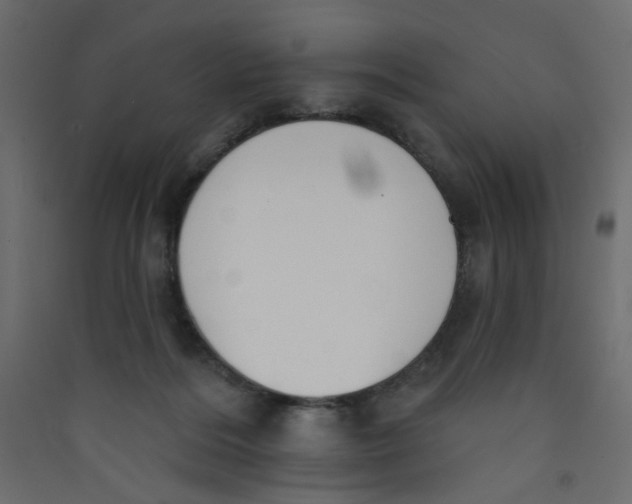 X0000089440220200707131912